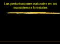 Las perturbaciones naturales en los ecosistemas forestales
