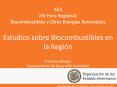 AEA XIV Foro Regional: Biocombustibles y Otras Energas Renovables Estudios sobre Biocombustibles en