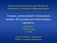 Seminario Iberoamericano sobre Sistemas de Informacin y Pronstico Hidrometeorolgico Avances, potenci