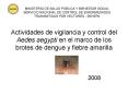 Actividades de vigilancia y control del Aedes aegypti en el marco de los brotes de dengue y fiebre a