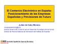 El Comercio Electrnico en Espaa: Posicionamiento de las Empresas Espaolas y Previsiones de Futuro