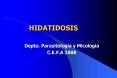 HIDATIDOSIS