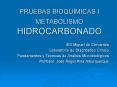 PRUEBAS BIOQUMICAS I METABOLISMO HIDROCARBONADO