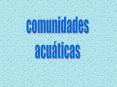 Presentacin de PowerPoint