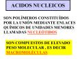 ACIDOS NUCLEICOS