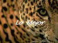 Lo Mejor