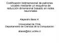Codificacin bidimensional de patrones vocales mediante un esquema de reduccin dimensional basado en