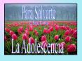 La Adolescencia