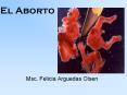 El Aborto