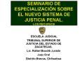 SEMINARIO DE ESPECIALIZACIN SOBRE EL NUEVO SISTEMA DE JUSTICIA PENAL' LOS RECURSOS