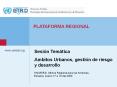 ONUEIRD, Oficina Regional para las Amricas, Panam, marzo 17 a 19 del 2009