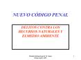 NUEVO CDIGO PENAL