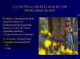 LA ESCUELA, ENCRUCIJADA DE LOS PROBLEMAS DE HOY