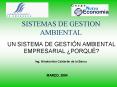 SISTEMAS DE GESTION AMBIENTAL