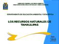 Manejo Holstico o Integral