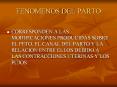 FENOMENOS DEL PARTO