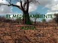 EL MEDIO AMBIENTE EN KENIA.