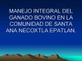 MANEJO INTEGRAL DEL GANADO BOVINO EN LA COMUNIDAD DE SANTA ANA NECOXTLA EPATLAN'