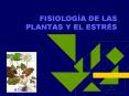 FISIOLOGA DE LAS PLANTAS Y EL ESTRS