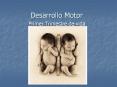 Desarrollo Motor