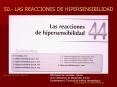 50' LAS REACCIONES DE HIPERSENSIBILIDAD