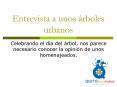 Entrevista a unos rboles urbanos