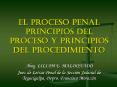 EL PROCESO PENAL PRINCIPIOS DEL PROCESO Y PRINCIPIOS DEL PROCEDIMIENTO
