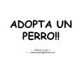 ADOPTA UN PERRO
