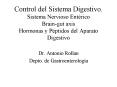 Control del Sistema Digestivo' Sistema Nervioso Entrico Braingut axis Hormonas y Pptidos del Aparato