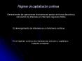 Diapositiva 1