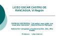 LICEO OSCAR CASTRO DE RANCAGUA, VI Regin