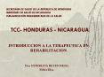 INTRODUCCION A LA TERAPEUTICA EN REHABILITACION