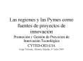 Las regiones y las Pymes como fuentes de proyectos de innovacin