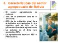 Caractersticas del sector agropecuario de Bolivia