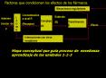 Diapositiva 1