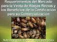 Requerimientos del Mercado para la Venta de Abejas Reinas y los Beneficios de la Certificacin para s