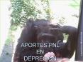 APORTES PNL EN DEPRESIN