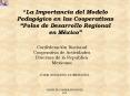 La Importancia del Modelo Pedaggico en las Cooperativas Polos de Desarrollo Regional en Mxico