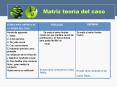 Matriz teora del caso