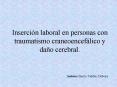 Insercin laboral en personas con traumatismo craneoenceflico y dao cerebral'