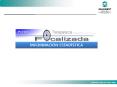 INFORMACIN ESTADSTICA