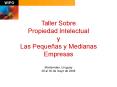 Taller Sobre Propiedad Intelectual y Las Pequeas y Medianas Empresas
