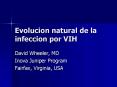 Evolucion natural de la infeccion por VIH