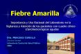 Fiebre Amarilla