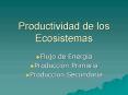 Productividad de los Ecosistemas