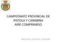 CAMPEONATO PROVINCIAL DE PISTOLA Y CARABINA AIRE COMPRIMIDO