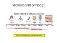MICROSCOPIO PTICO I