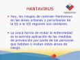 HANTAVIRUS