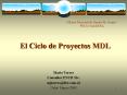 El Ciclo de Proyectos MDL