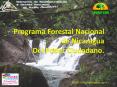 Programa Forestal Nacional de Nicaragua Del Poder Ciudadano'